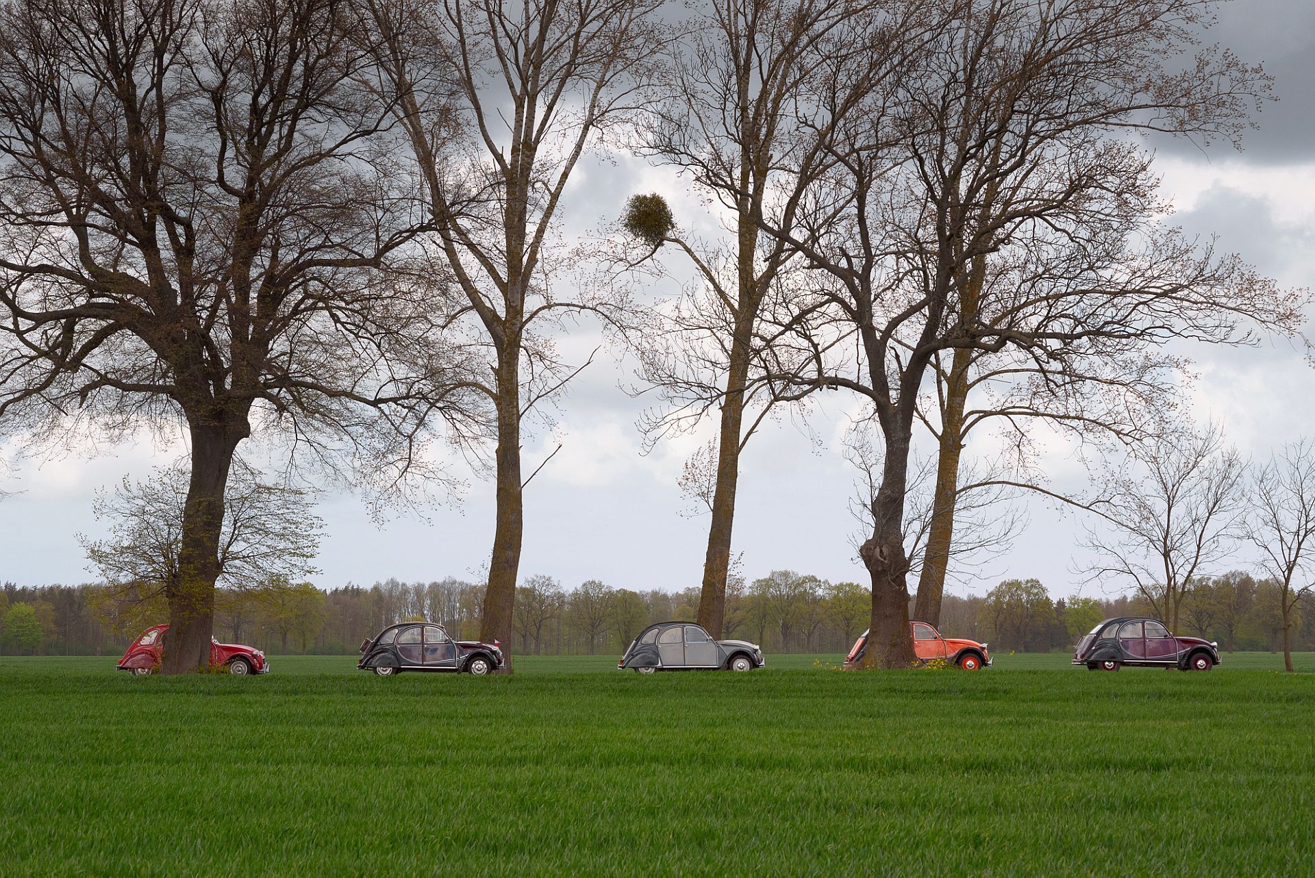 XVII Ogólnopolski Zlot Zabytkowych Citroënów