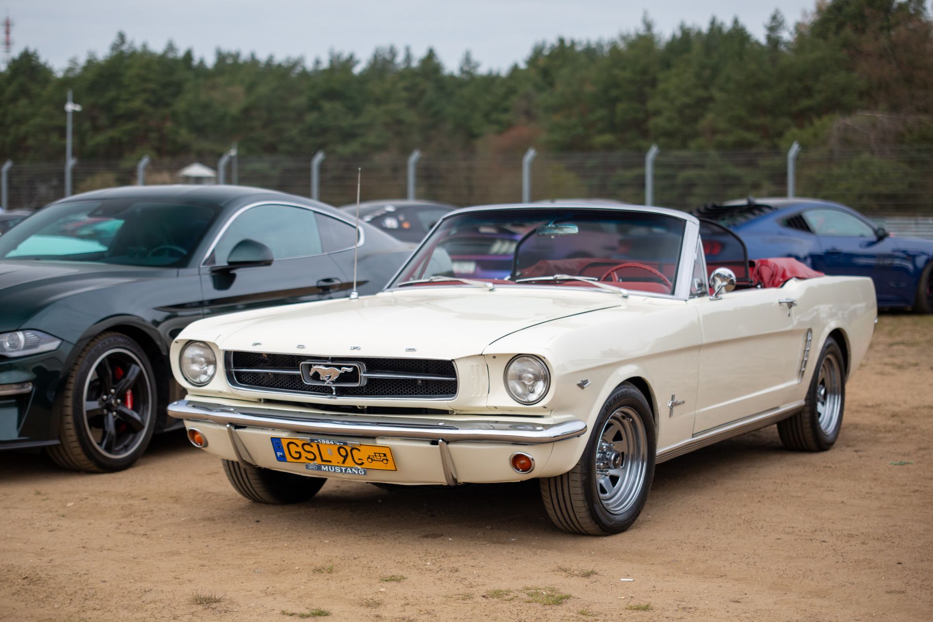 XVII Ogólnopolski Zlot Mustangów