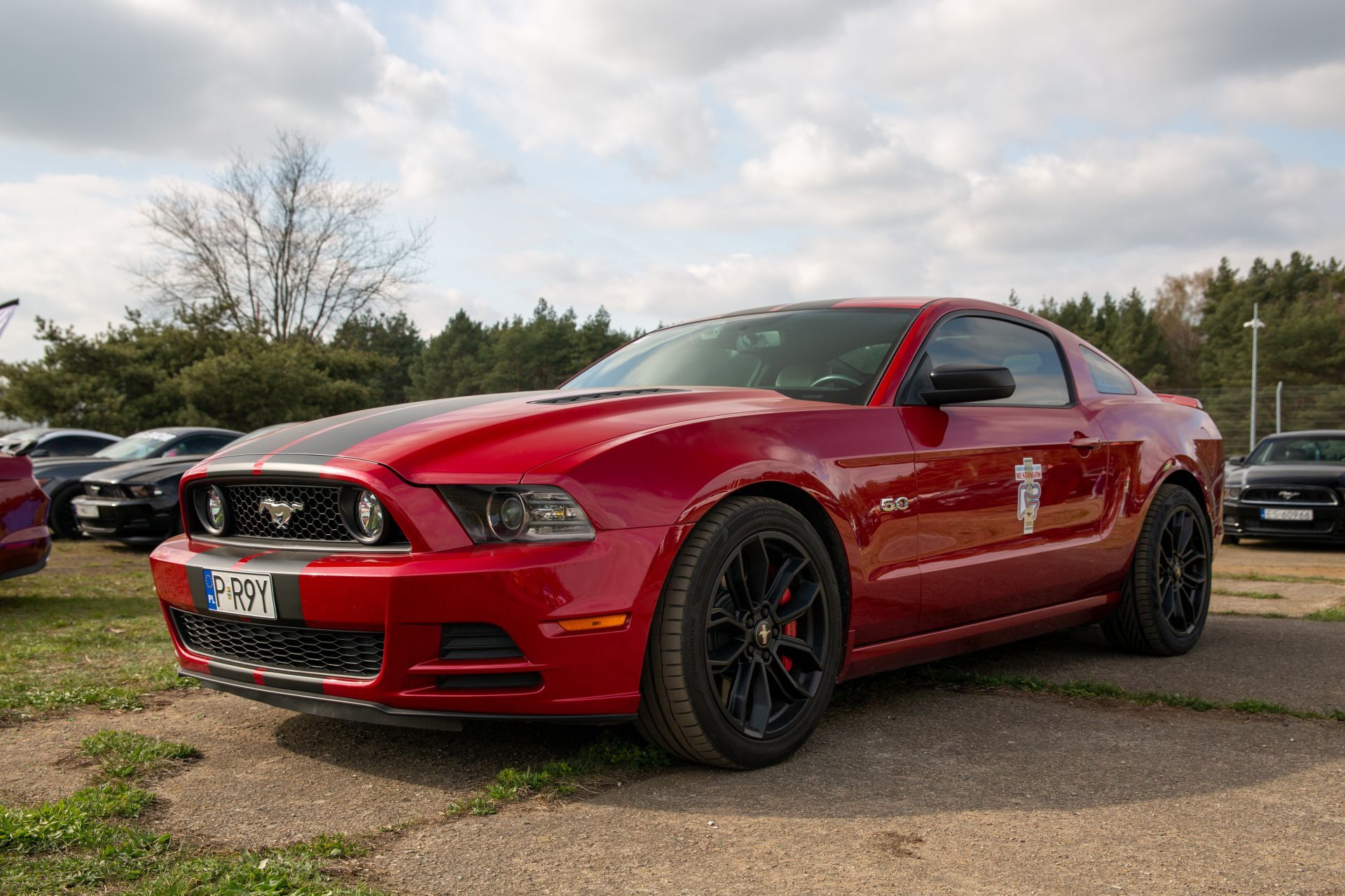 XVII Ogólnopolski Zlot Mustangów