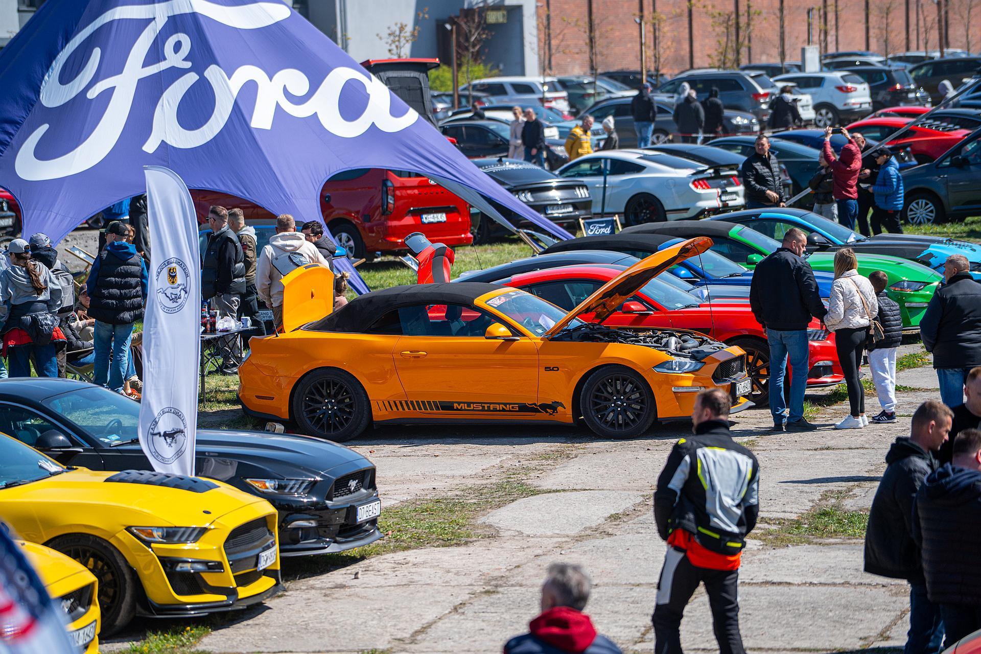 XVIII-Ogolnopolski-Zlot-Mustangow_2026_1