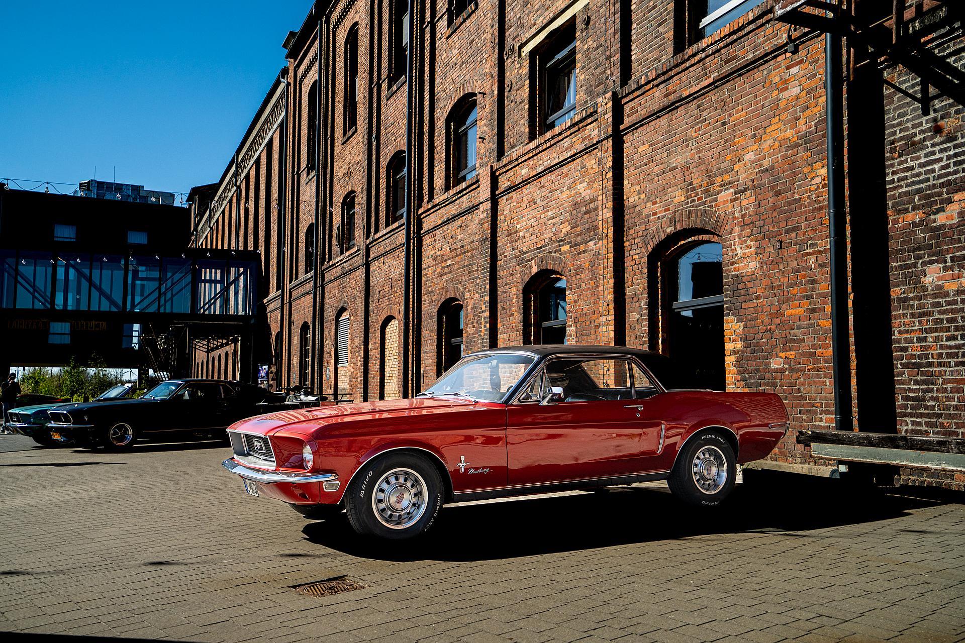 Od klasyki po nowoczesność - Mustangi opanowały Żnin