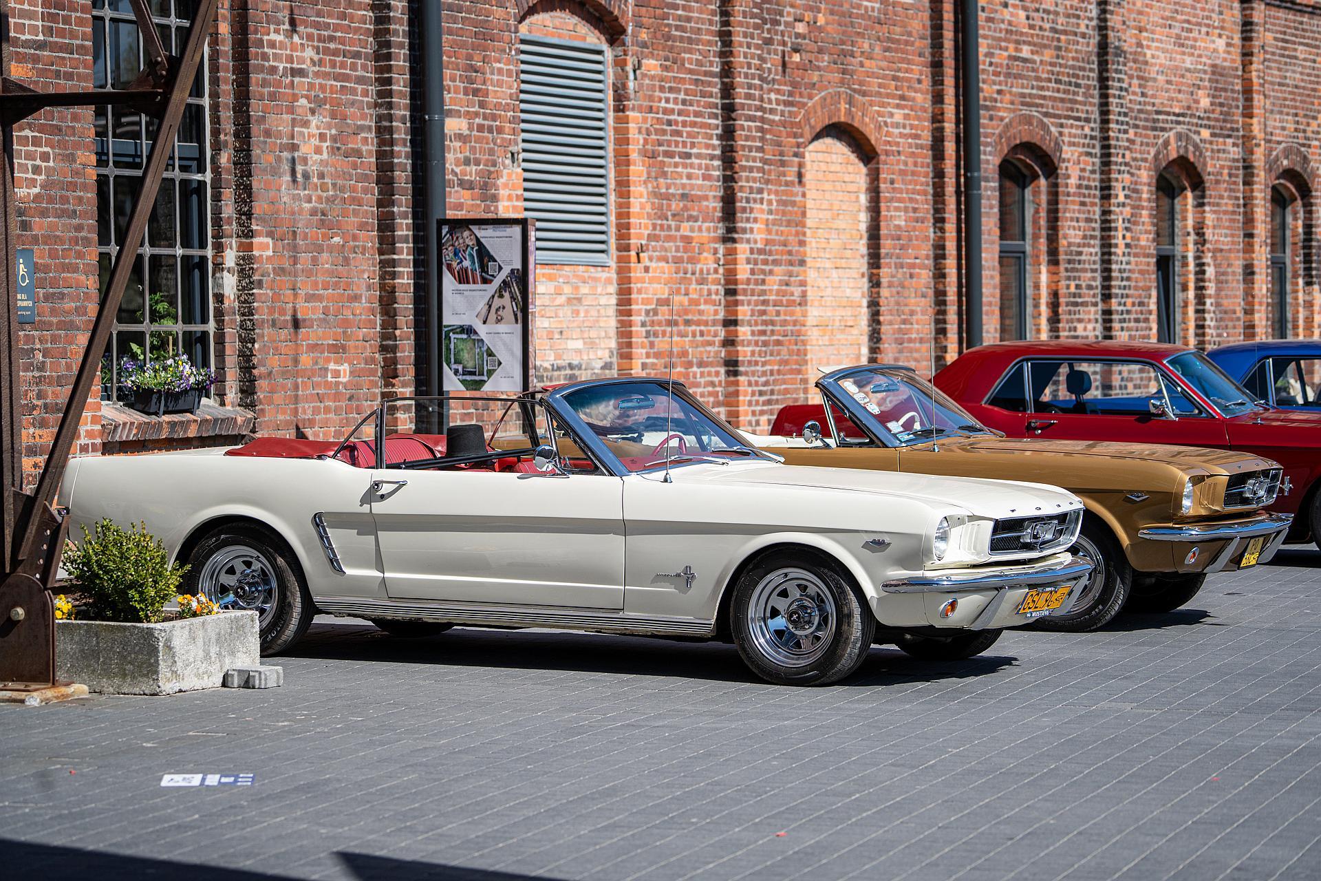 Od klasyki po nowoczesność - Mustangi opanowały Żnin