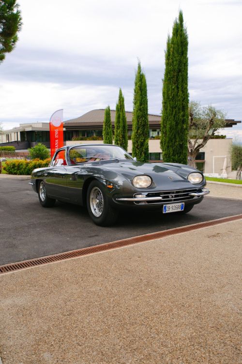 Lamborghini Diablo i Miura błyszczą na włoskich konkursach elegancji