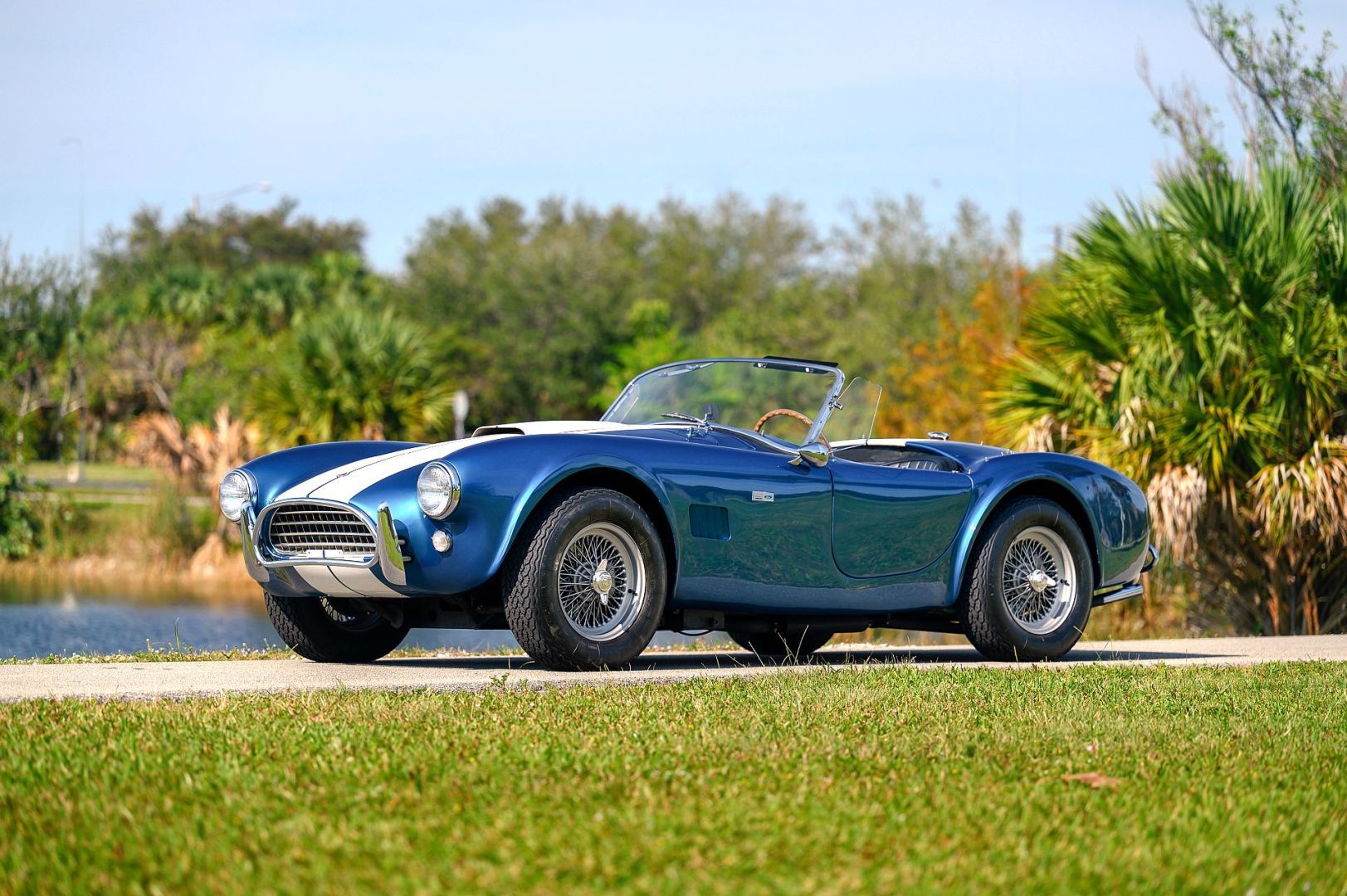 Shelby 289 Cobra