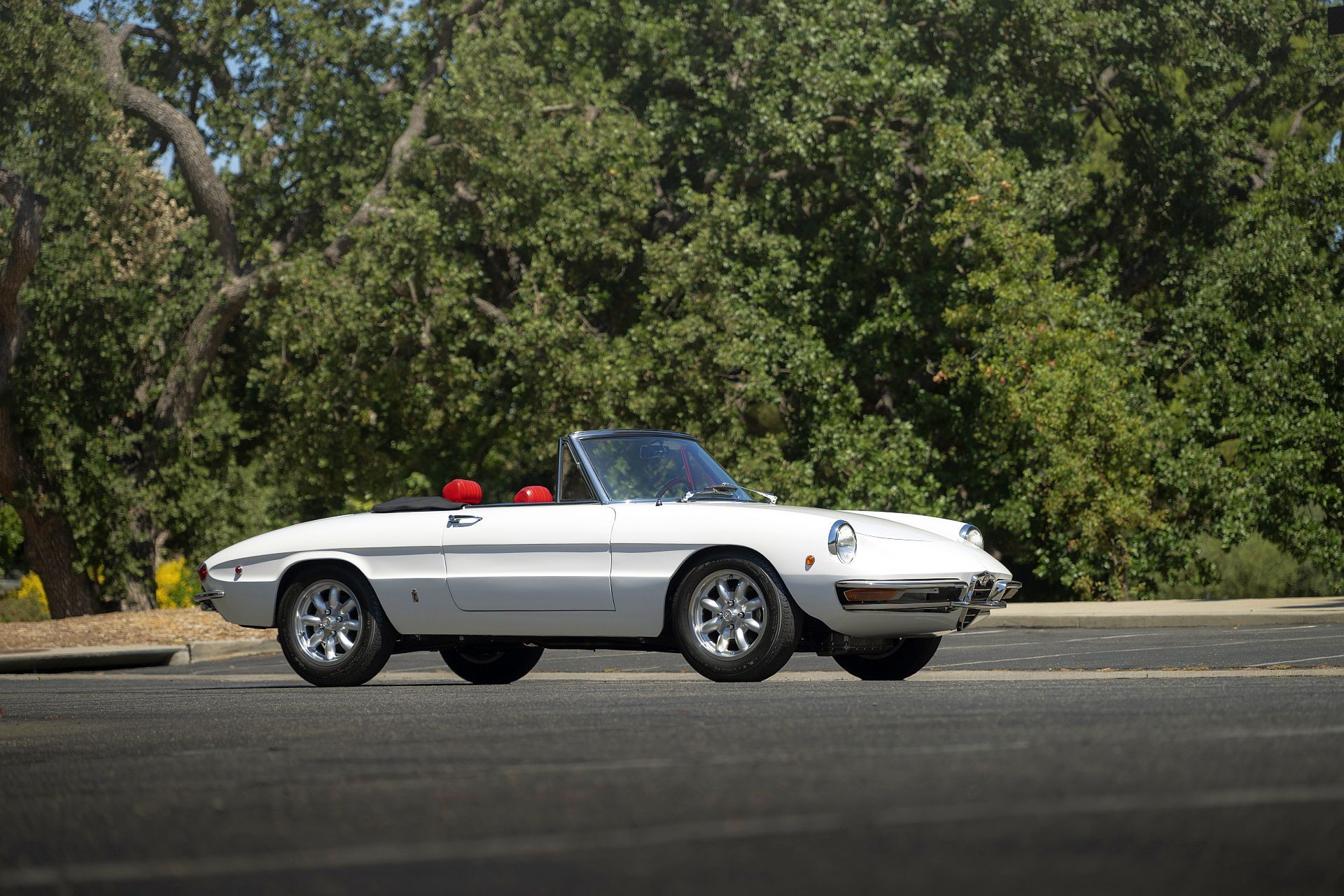 Alfa Romeo 1750 Spider nazywana przez Włochów "osso di seppia", czyli kość mątwy