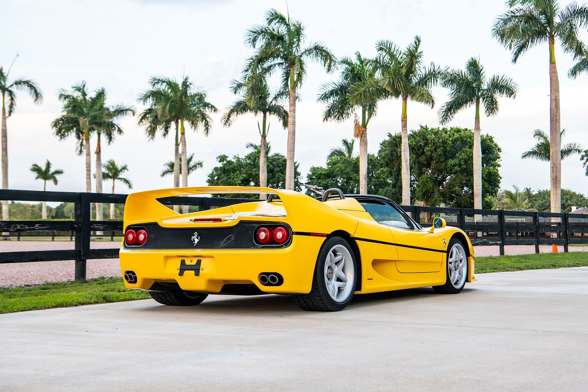 Ferrari F50