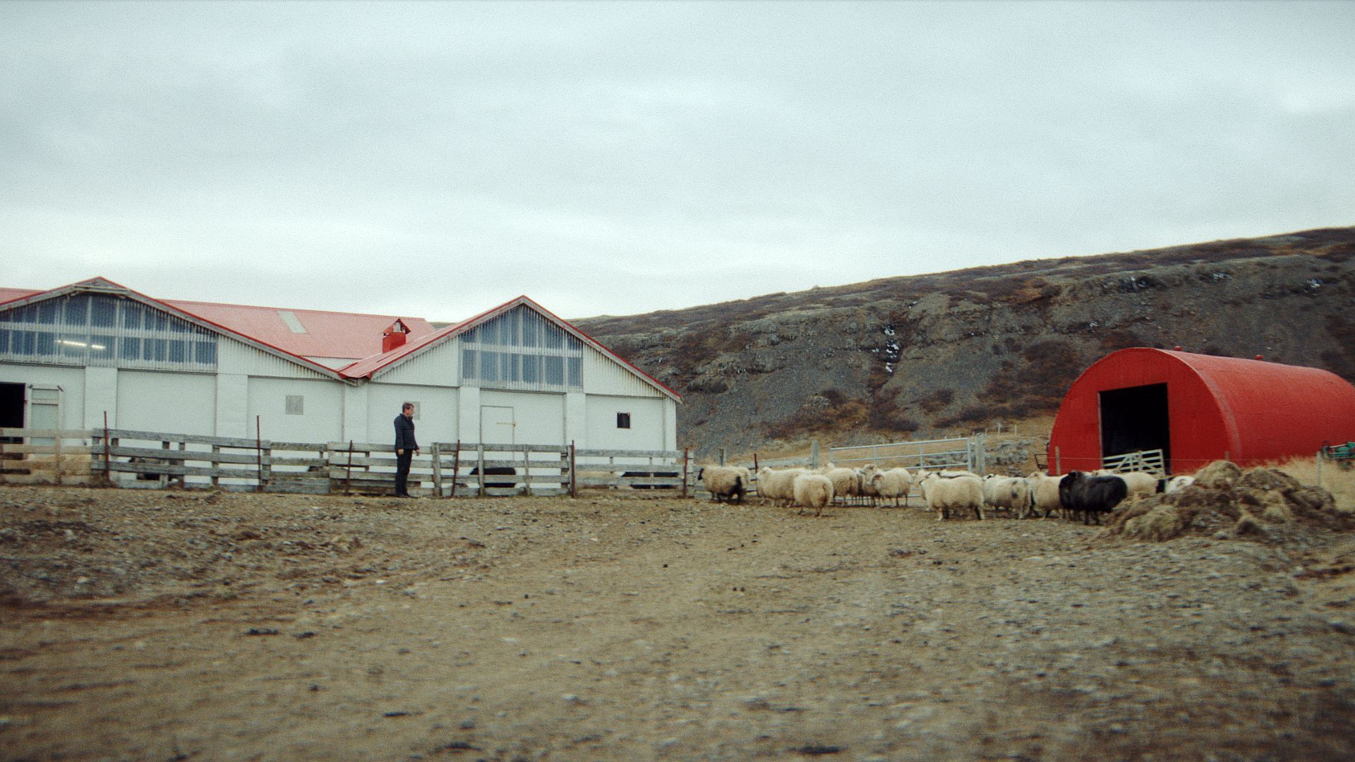 Milion kilometrów Škodą Octavią - niezwykła historia z Islandii