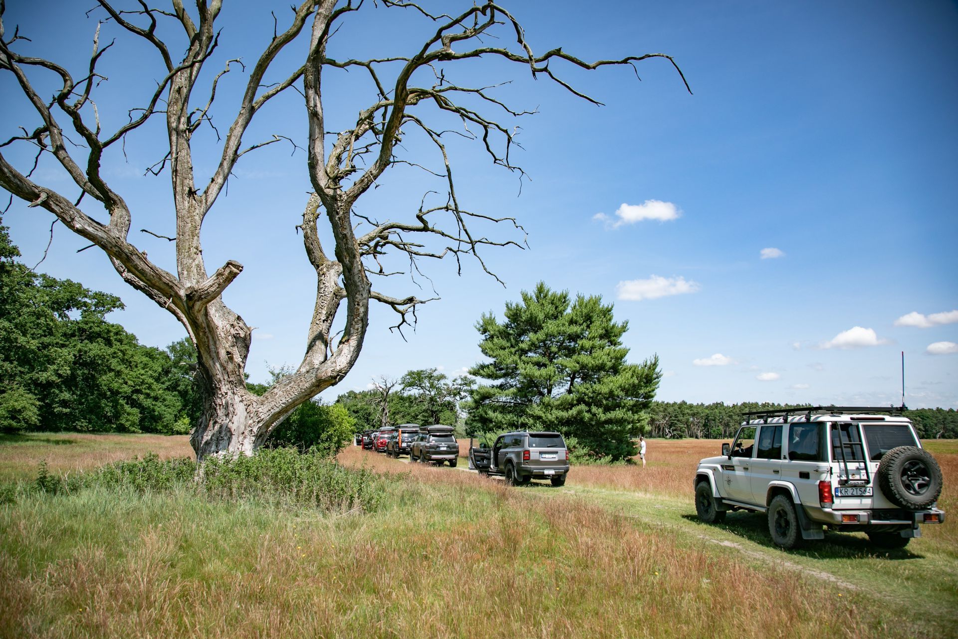 Terenowe święto! 150 aut na 10-leciu Toyota Off-Road Festival