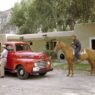 Ford F1 Pickup