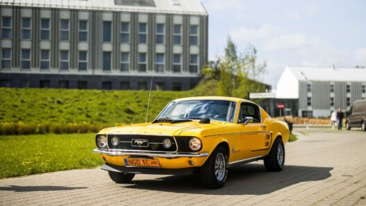 XVI Ogólnopolski Zlot Mustangów