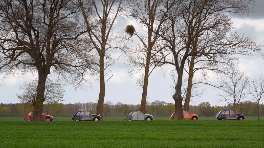 XVII Ogólnopolski Zlot Zabytkowych Citroënów