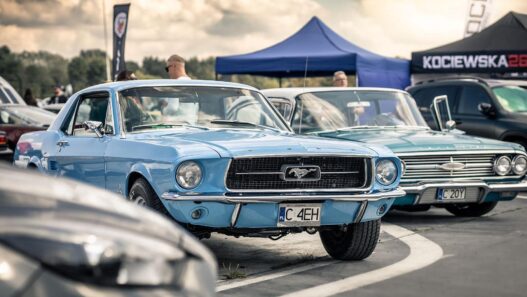 Auto Moto Show Toruń po raz szósty
